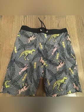 Old Navy Boys Swim Trunks Size XL (14–16) Dinosaur Print